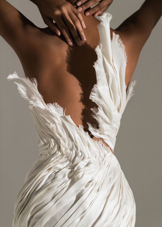 Swan
