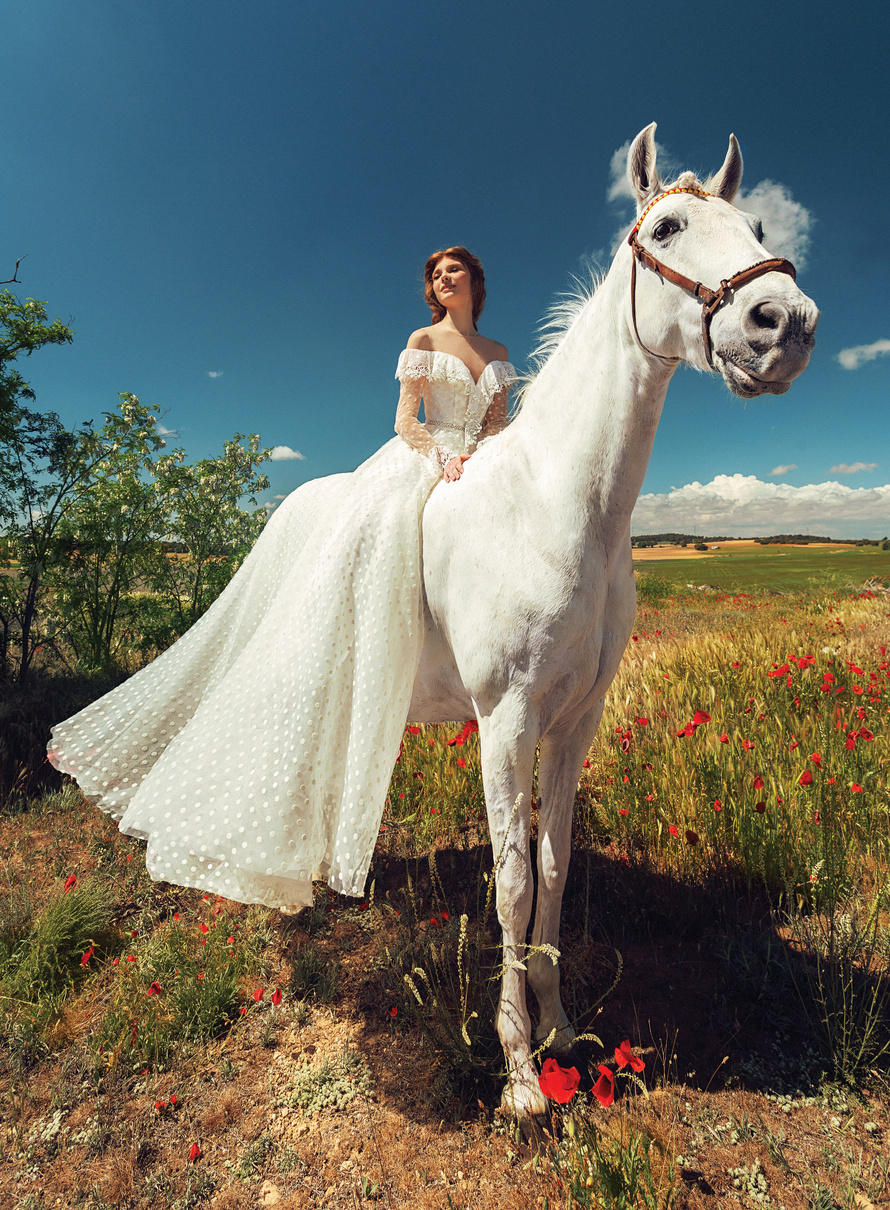Купить свадебное платье «Розмари» Татьяны Каплун из коллекции «Вайлд Винд 2019» в Краснодаре